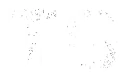 Trusty Gaming